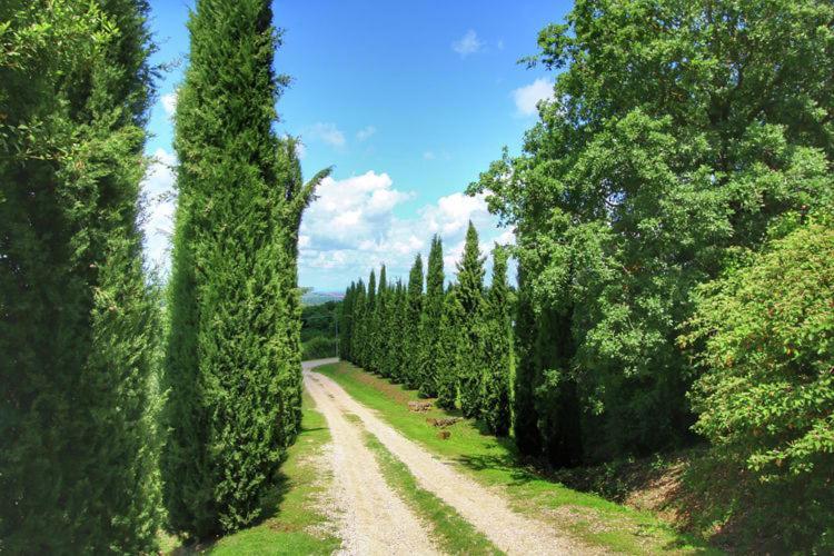 Podere Il Tigliolo Castiglione dʼOrcia Eksteriør billede